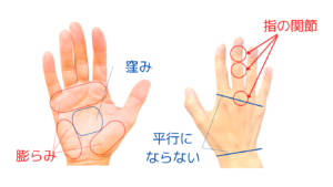 人物画を描きたい人必読！手の構造について徹底解説