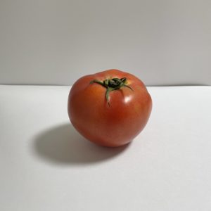 トレースを使った下絵を描く方法の紹介