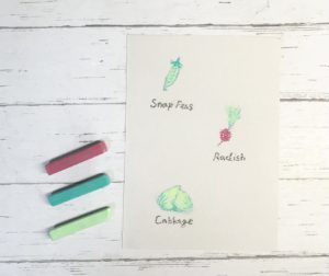 百均パステルで描く初心者向けパステル画！野菜のイラストを描く-その１-