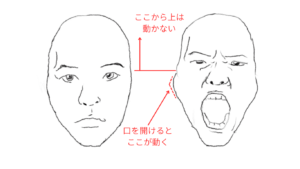 美術解剖学を活用！初心者でもわかる簡単な口の描き方ガイド